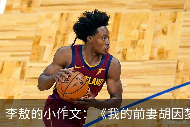 李敖的小作文：《我的前妻胡因梦》